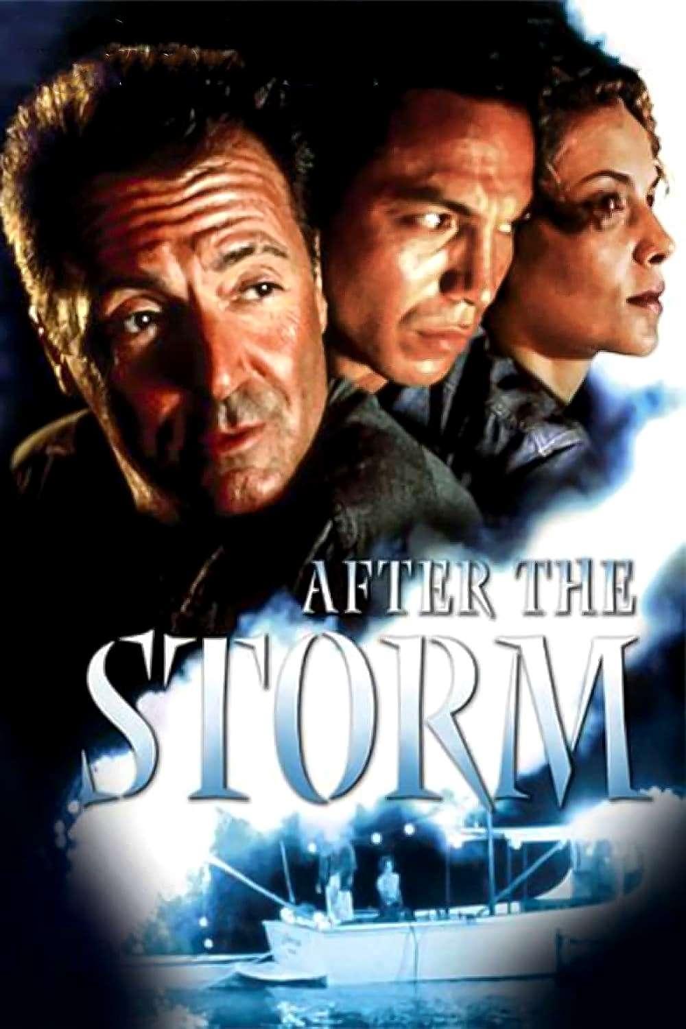 After the Storm poster