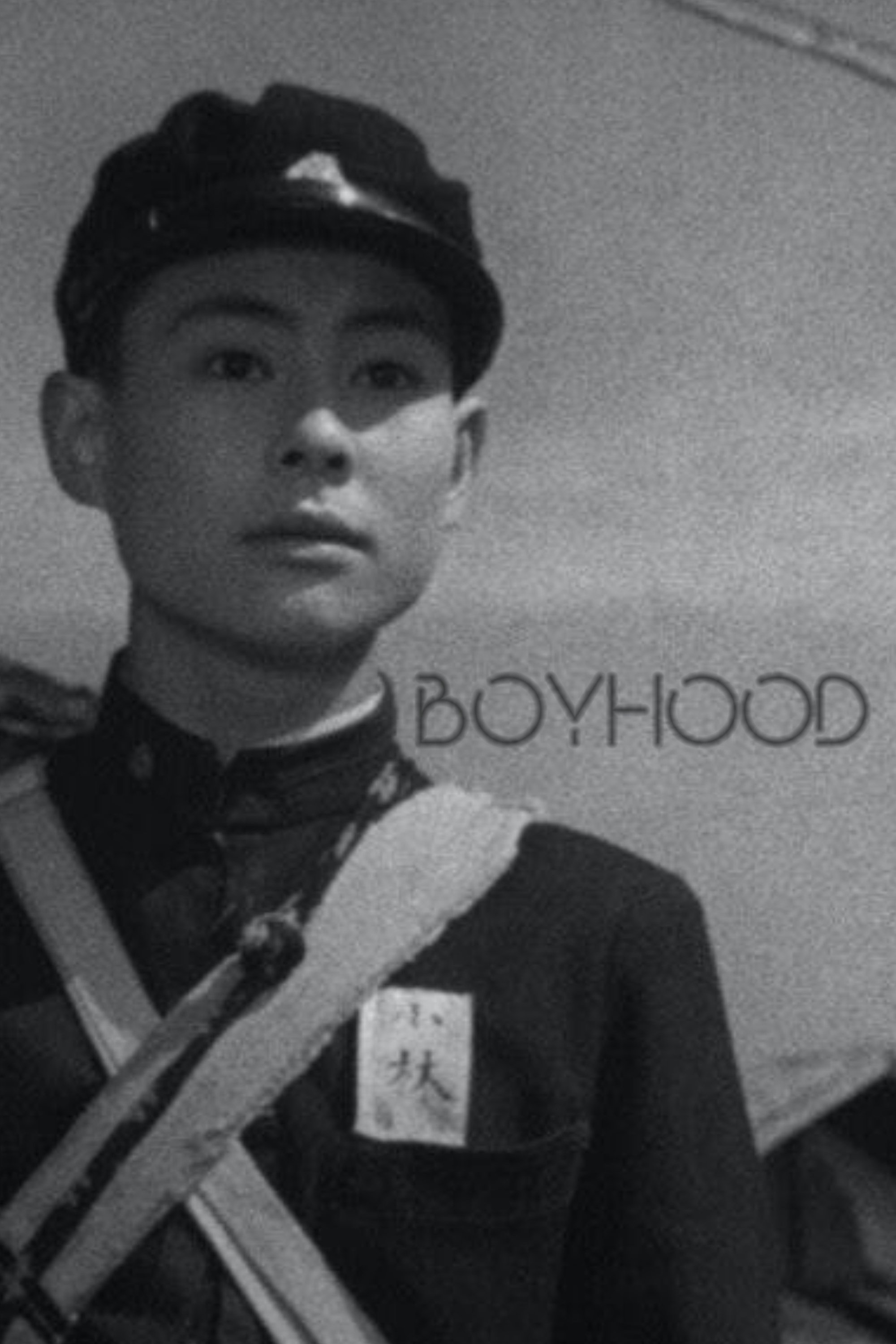 Boyhood poster