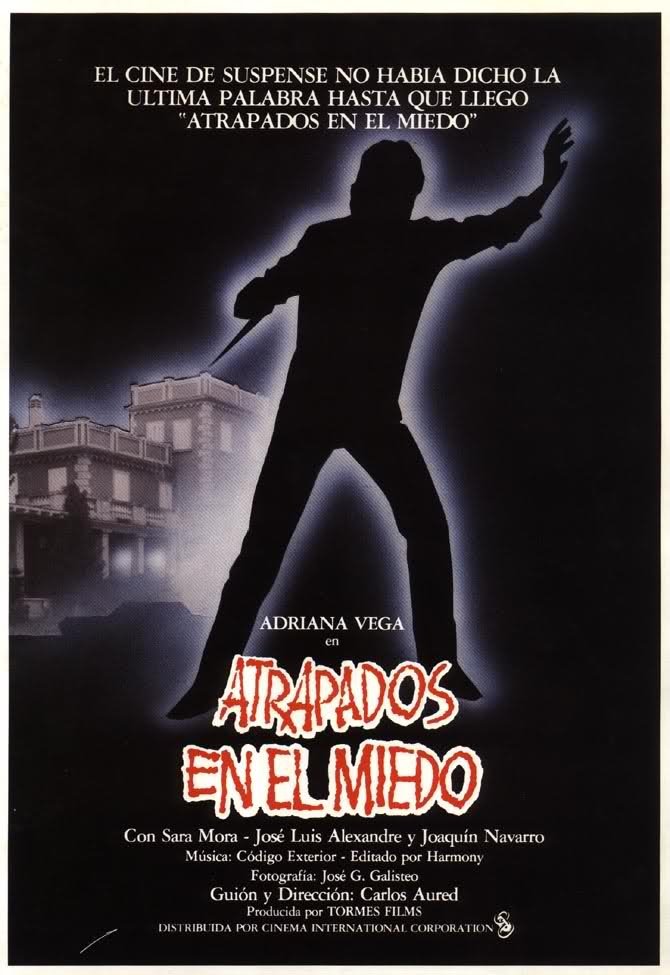 Caught in Fear poster