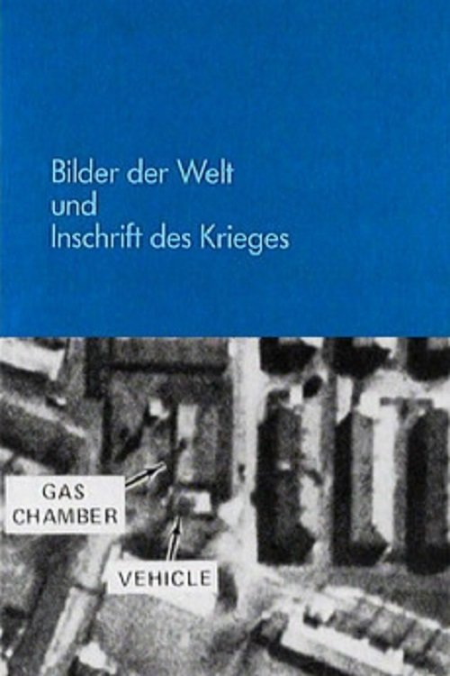 Images of the World and the Inscription of War poster