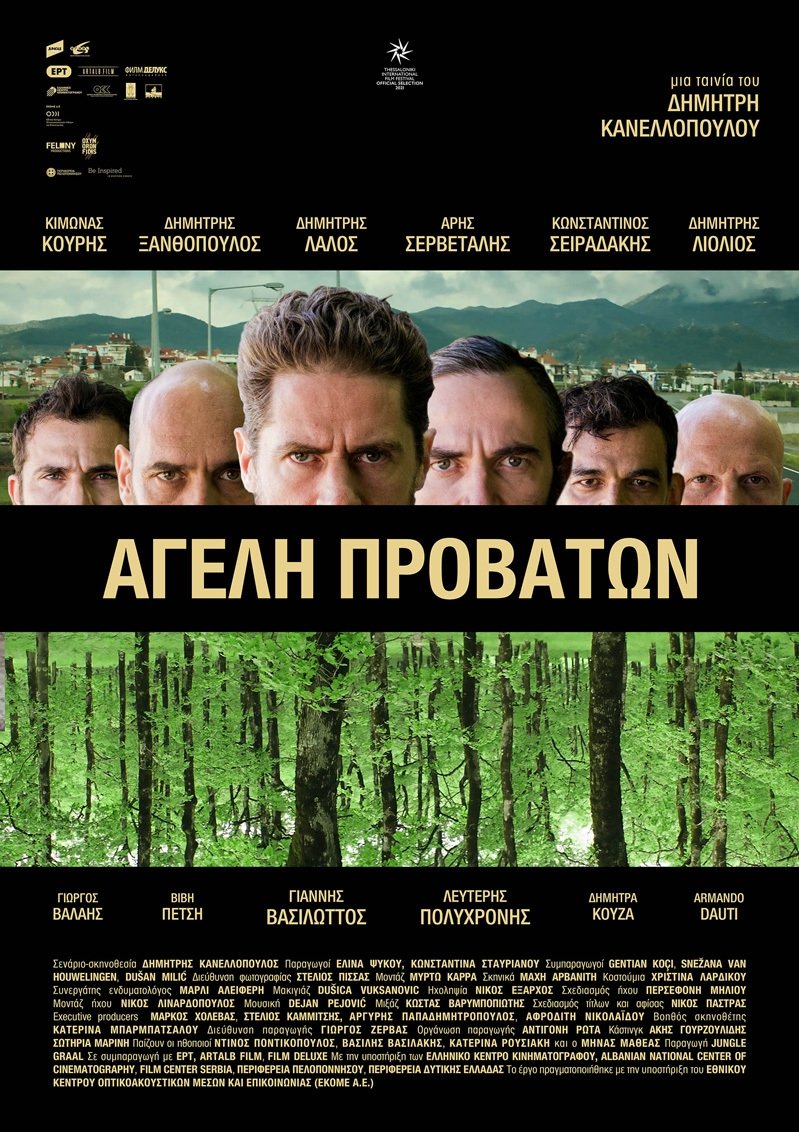 Pack of Sheep poster