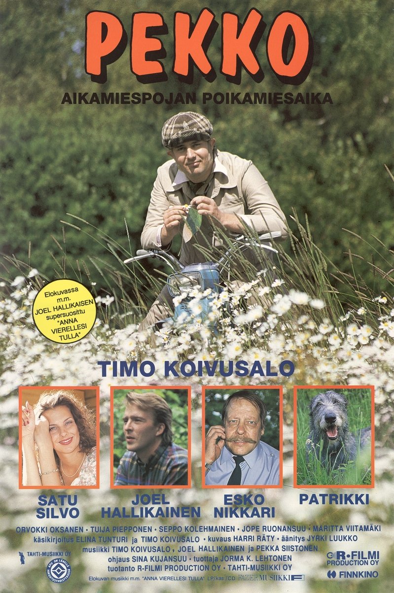 Pekko aikamiespojan poikamiesaika poster