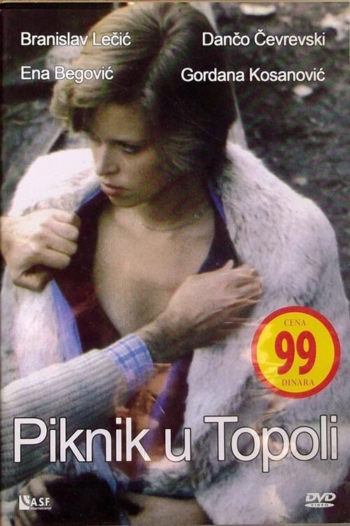 Picnic in Topola poster