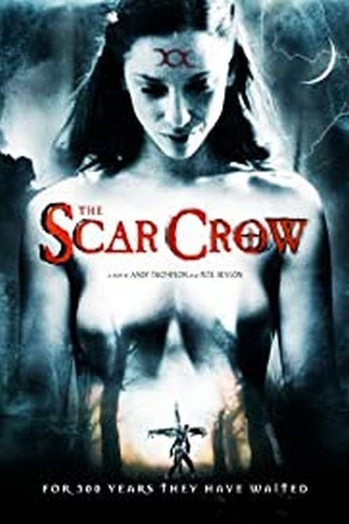 Scar Crow poster