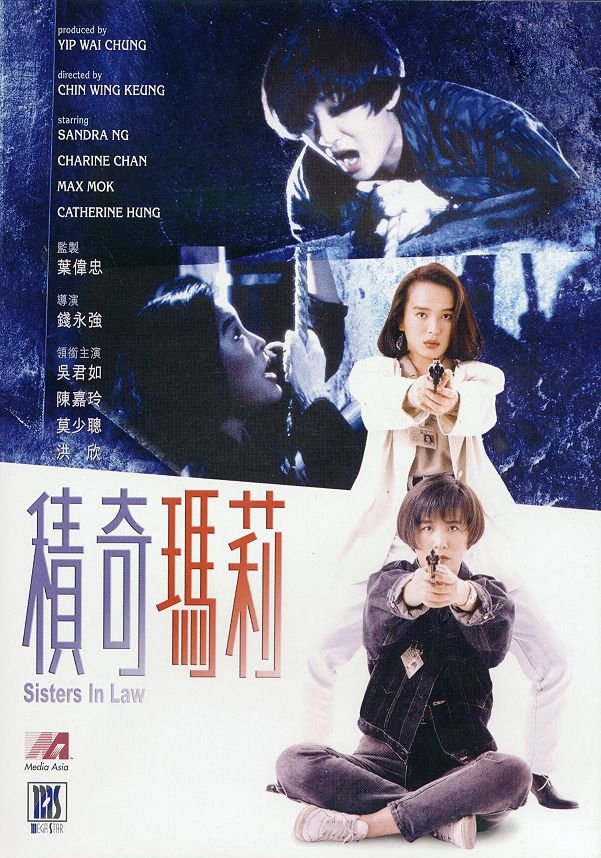 Sisters In Law poster