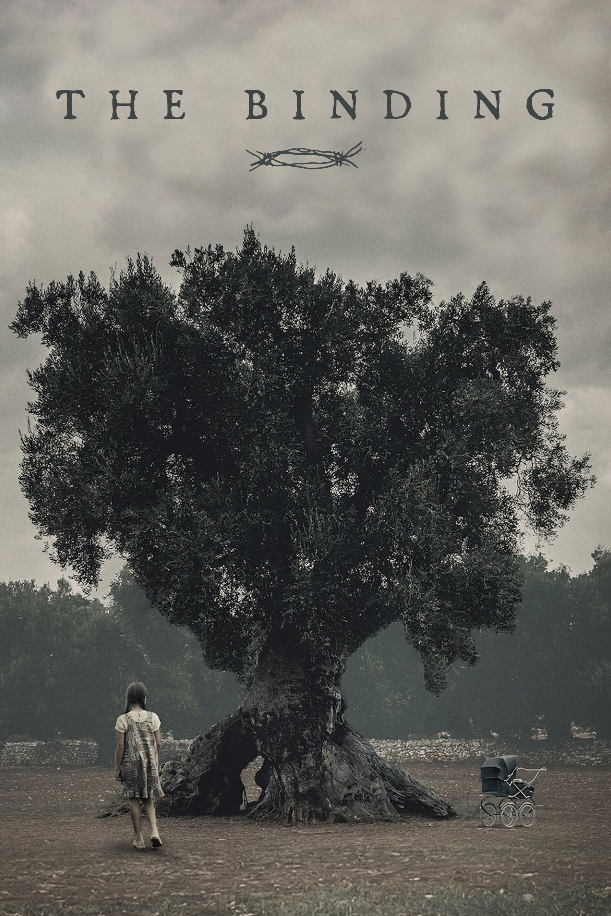 The Binding poster