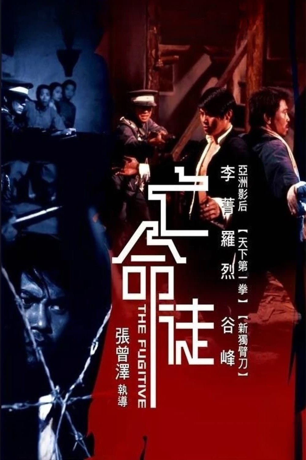 The Fugitive poster