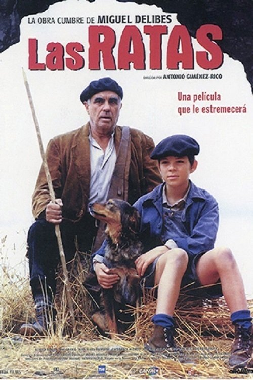 The Rats poster
