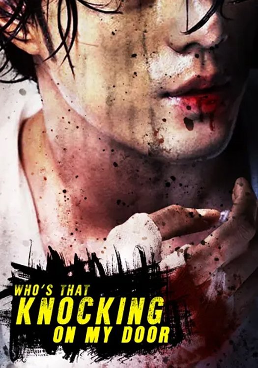 Who's That Knocking At My Door? poster